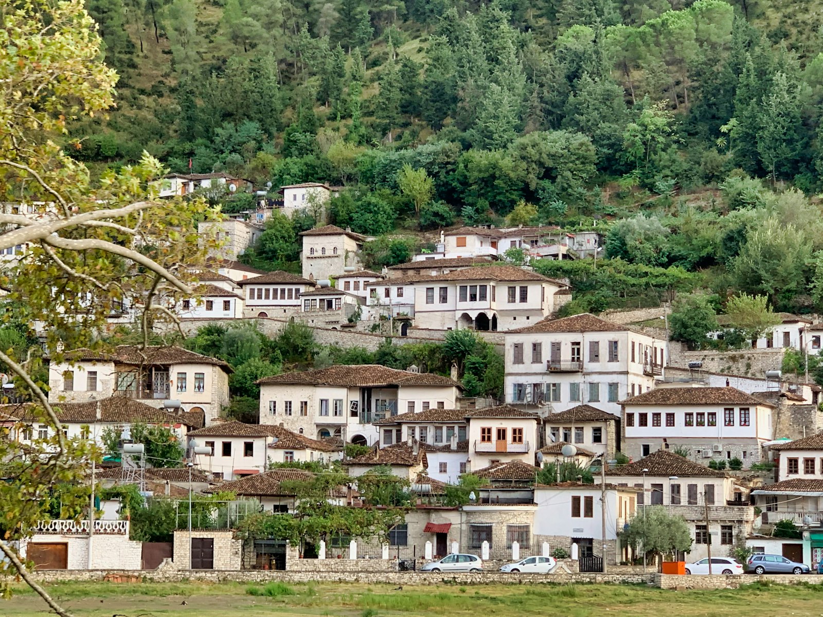 Berat — de UNESCO-stad van duizend ramen, omringd door olijfheuvels